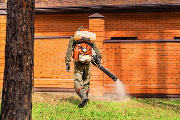 Bed Bug Clearance Verification and Documentation in Hollandale